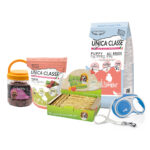 Set pentru caine junior de talie medie