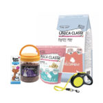 Set pentru caine junior de talie mica