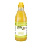 Sampon Iv San Bernard Maracuja, pentru caini si pisici, 1l