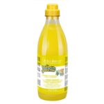 Sampon Iv San Bernard cu Ghimbir si Soc, pentru caini si pisici, 1l