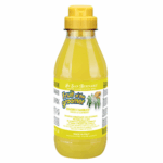 Sampon Iv San Bernard cu Ghimbir si Soc, pentru caini si pisici, 500ml