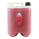 Sampon Iv San Bernard Vanesia Ginseng, pentru caini si pisici, 10l