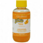 Sampon Iv San Bernard Orange NEW, pentru caini si pisici, 100ml