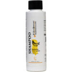 Sampon Iv San Bernard Banana, pentru caini si pisici, 100ml